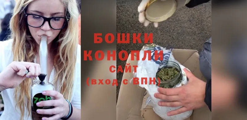 Каннабис OG Kush  Миньяр 